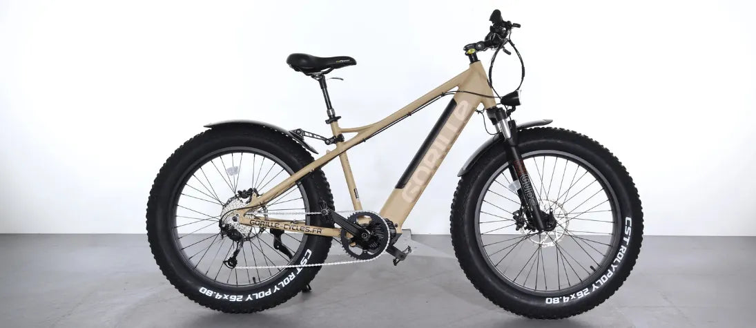 Vélo électrique fat bike HAPPYRUN HR-G50 750W : la puissance à petit