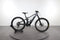 Orbea Wild M20