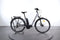 Raymon CityRay E 5.0
