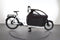 Riese & Müller Packster 70 vario