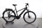 Gazelle Medeo T10