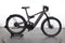 Riese & Müller Delite GT vario