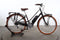 Electra Loft Go! 5i
