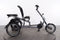 Pfautec Scoobo