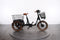 BLAUPUNKT Minna E-Trike