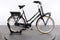 Gazelle Miss Grace C7+ HMB