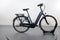 Gazelle Arroyo C7+