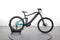 Haibike ALLMTN 1