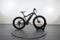 NCM Fatbike Aspen+
