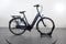 Gazelle Arroyo C7+ HMB Elite