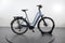 Gazelle Chamonix T10 HMS