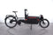 Riese & Müller Packster 60