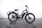 Electra Townie GO! 8i Lady