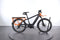 Riese & Müller Multicharger light
