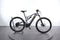 Lapierre Overvolt XC500i