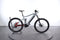 Haibike AllTrail 5