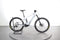 Orbea Wild ST H30