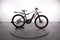 Haibike HARDSEVEN 9