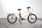 Robert Bikes Bob