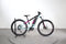 Lapierre Overvolt AM 500+