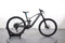 Trek Fuel EXe 9.5