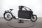 Riese & Müller Packster2 70 vario
