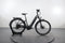 Ebike Das Original Trekking Pro