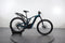 Bergamont E-Trailster 8.0