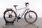 Corratec E-Power C29 SE 3.0 CX7 Belt Gent
