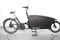 Urban Arrow Family Cargo