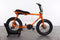 Ruff Cycles Lil Buddy