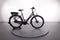 Batavus Dinsdag E-go Sport
