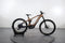 Haibike ALLMTN CF 8
