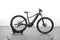 Giant FATHOM E+ 2 29ER