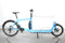Bullitt Bluebird