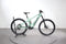 Orbea Wild