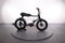 Ruff Cycles LI Buddy