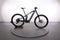 Simplon Rapcon PMax GX1 Eagle