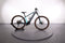 Trek Powerfly 4