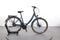 Pegasus Savona SL Disc 8