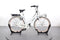 Gazelle Miss Grace C7+ G3251