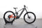 Haibike ALLMTN 4