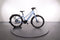 Batavus RAZER E-GO EXCLUSIVE