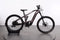 Haibike ALLTRAIL 10