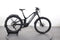 Trek Powerfly FS 9 Equipped