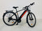 Gitane e-Verso e-Going