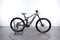 Orbea Wild FS H10