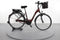Ebike Intl. Copenhagen C007 RT