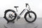 Rad Power Bikes Radrhino 6 Step Thru