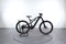 Lapierre Overvolt AM 4.5